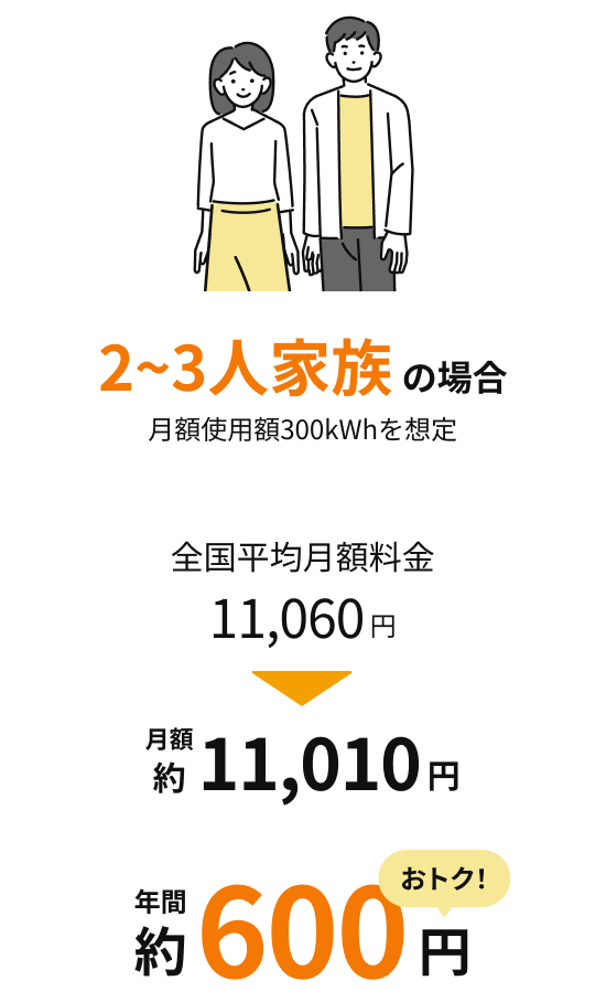 2~3人家族の場合 月額使用額300kWhを想定
